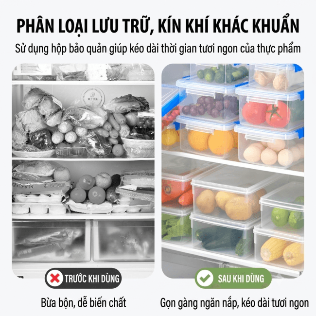 [NGUỒN SỈ TẬN GỐC] Hộp Nhựa Giữ Tươi Thương Mại Dày Dặn Trong Suốt - Hộp Bảo Quản Thực Phẩm Tủ Lạnh Khóa Đôi Cao Cấp Giá Sỉ — 6