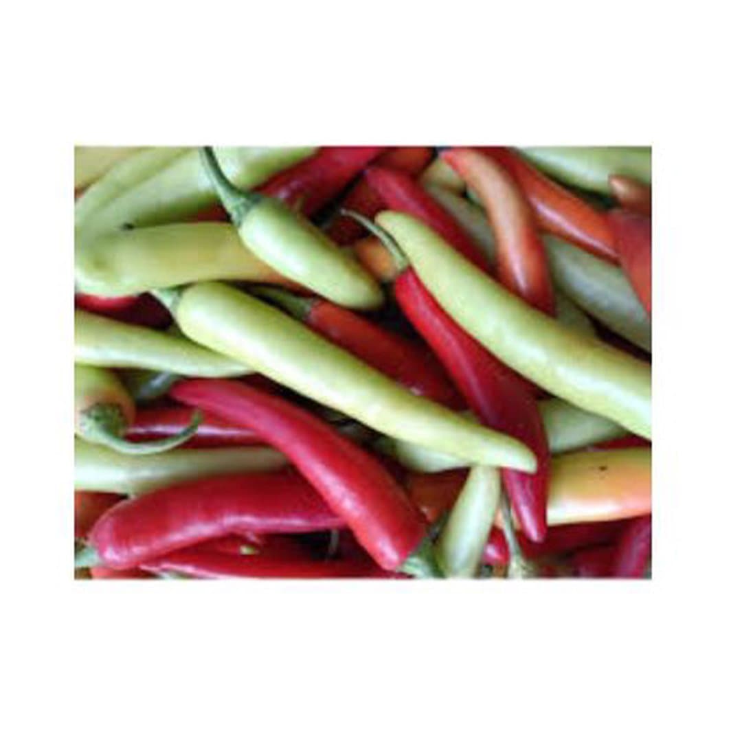 Ớt Ba Tri 1kg — 2